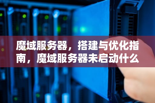 魔域服务器，搭建与优化指南，魔域服务器未启动什么意思