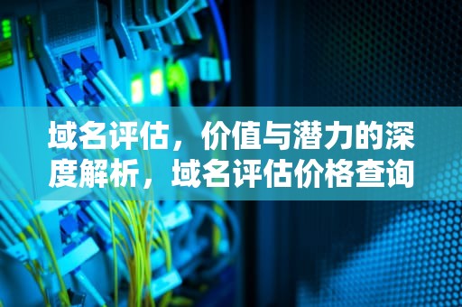 域名评估，价值与潜力的深度解析，域名评估价格查询