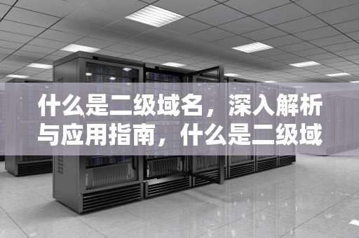 什么是二级域名，深入解析与应用指南，什么是二级域名一级域名区别