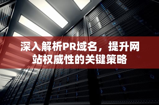 深入解析PR域名，提升网站权威性的关键策略