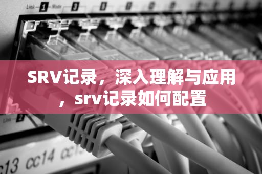 SRV记录，深入理解与应用，srv记录如何配置