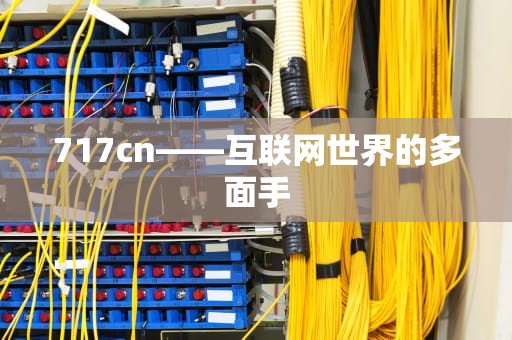 717cn——互联网世界的多面手