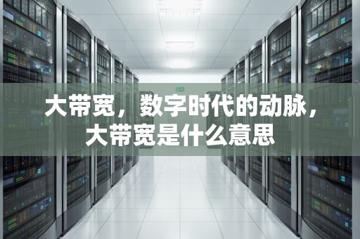 大带宽，数字时代的动脉，大带宽是什么意思