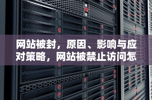 网站被封，原因、影响与应对策略，网站被禁止访问怎么打开
