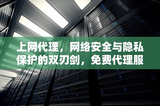 上网代理，网络安全与隐私保护的双刃剑，免费代理服务器