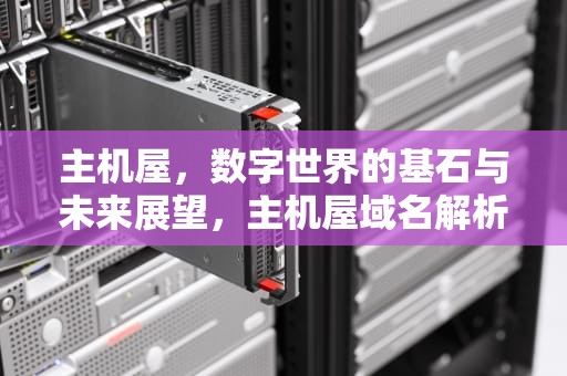 主机屋，数字世界的基石与未来展望，主机屋域名解析错诿
