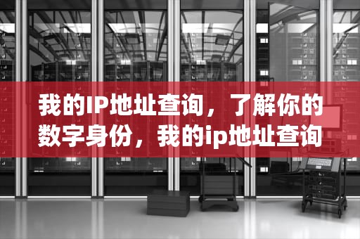 我的IP地址查询，了解你的数字身份，我的ip地址查询本机