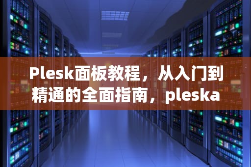 Plesk面板教程，从入门到精通的全面指南，pleskavackolo音乐游戏