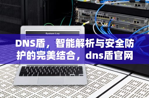 DNS盾，智能解析与安全防护的完美结合，dns盾官网