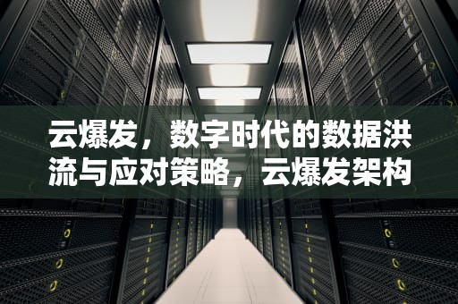 云爆发，数字时代的数据洪流与应对策略，云爆发架构