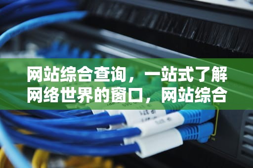 网站综合查询，一站式了解网络世界的窗口，网站综合查询方法
