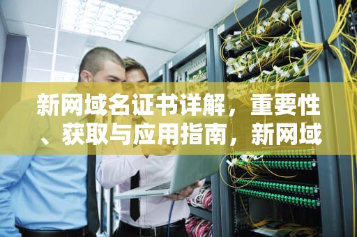 新网域名证书详解，重要性、获取与应用指南，新网域名证书在哪下载