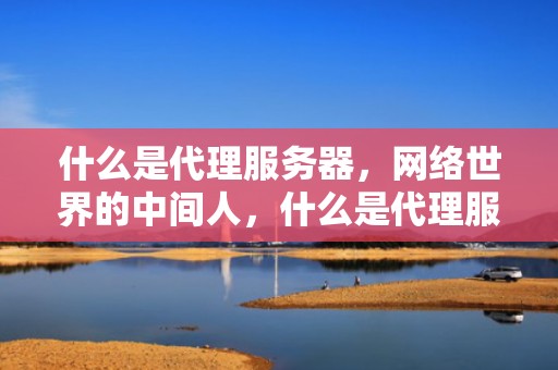 什么是代理服务器，网络世界的中间人，什么是代理服务器地址和端口