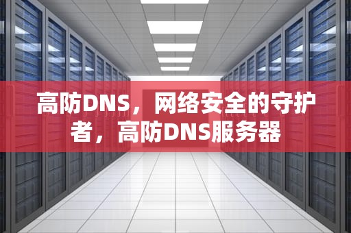 高防DNS，网络安全的守护者，高防DNS服务器