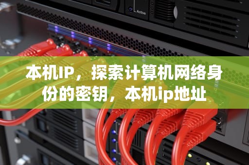 本机IP，探索计算机网络身份的密钥，本机ip地址