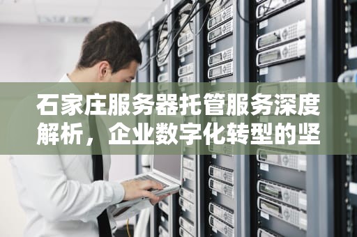石家庄服务器托管服务深度解析，企业数字化转型的坚实基石，石家庄服务器托管收费