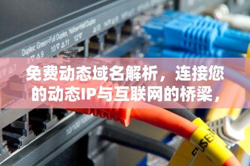 免费动态域名解析，连接您的动态IP与互联网的桥梁，免费动态域名解析哪个好
