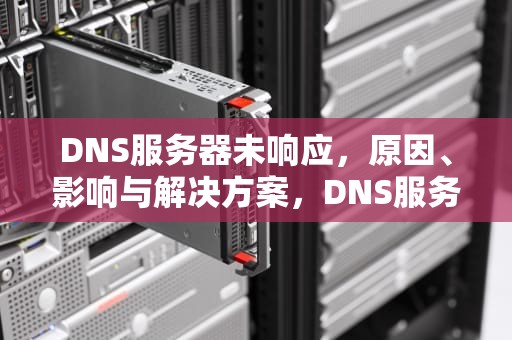 DNS服务器未响应，原因、影响与解决方案，DNS服务器未响应是哪里的问题