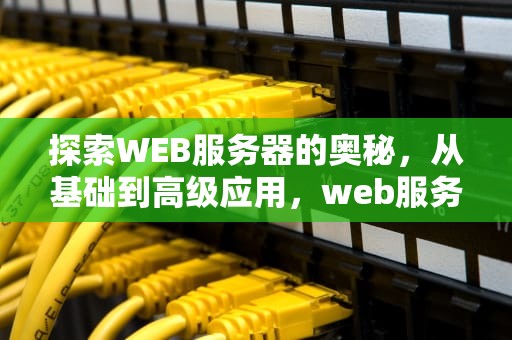 探索WEB服务器的奥秘，从基础到高级应用，web服务器是什么意思