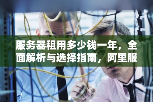 服务器租用多少钱一年，全面解析与选择指南，阿里服务器租用多少钱一年