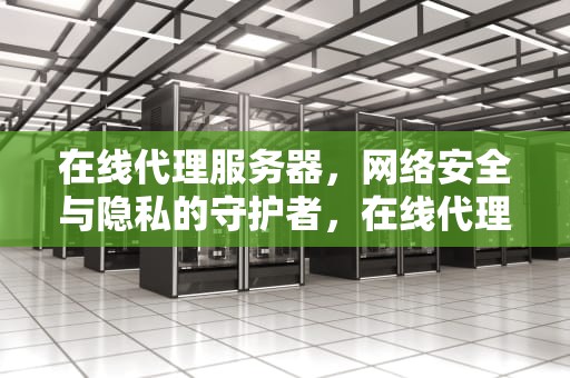 在线代理服务器，网络安全与隐私的守护者，在线代理服务器入口官网