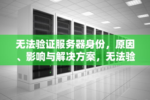 无法验证服务器身份，原因、影响与解决方案，无法验证服务器身份 苹果