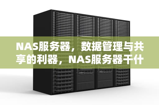NAS服务器，数据管理与共享的利器，NAS服务器干什么的
