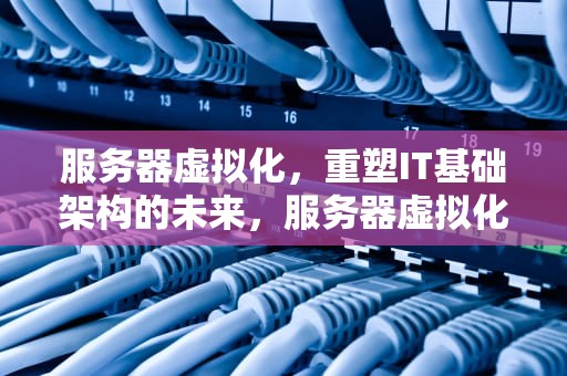 服务器虚拟化，重塑IT基础架构的未来，服务器虚拟化技术