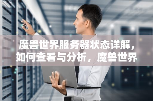 魔兽世界服务器状态详解，如何查看与分析，魔兽世界服务器状态查询