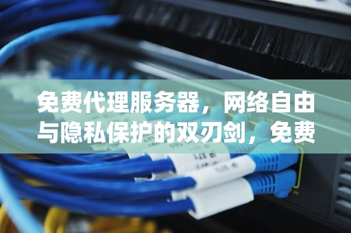 免费代理服务器，网络自由与隐私保护的双刃剑，免费代理服务器ip地址