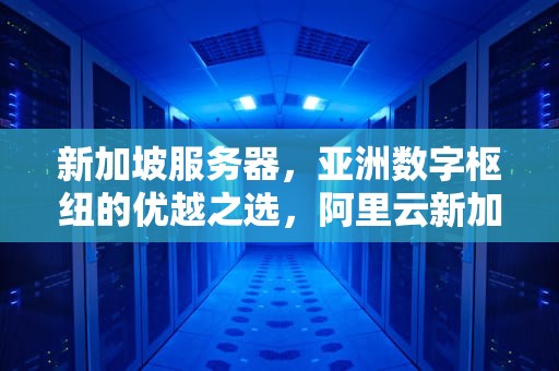 新加坡服务器，亚洲数字枢纽的优越之选，阿里云新加坡服务器