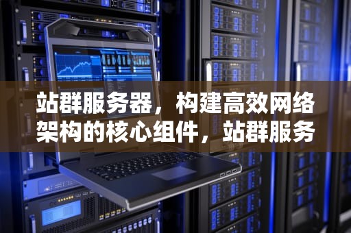 站群服务器，构建高效网络架构的核心组件，站群服务器什么意思