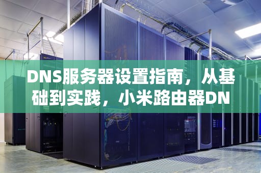 DNS服务器设置指南，从基础到实践，小米路由器DNS服务器设置错误