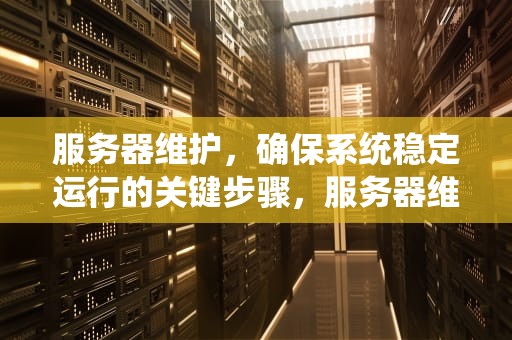 服务器维护，确保系统稳定运行的关键步骤，服务器维护工作内容