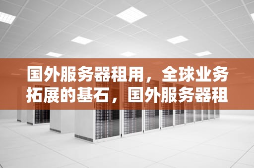 国外服务器租用，全球业务拓展的基石，国外服务器租用商