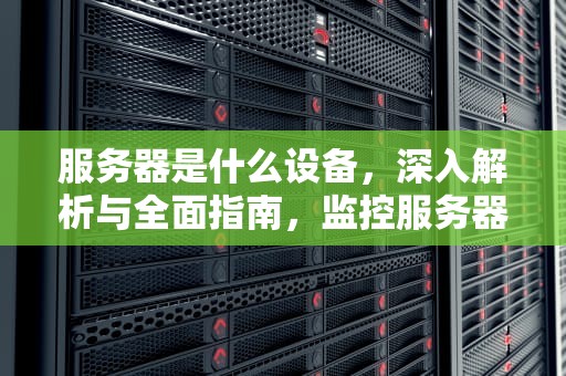 服务器是什么设备，深入解析与全面指南，监控服务器是什么设备