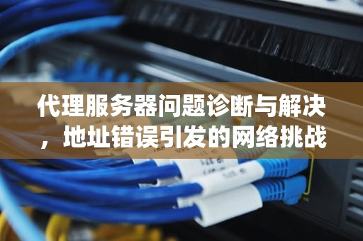 代理服务器问题诊断与解决，地址错误引发的网络挑战，edge代理服务器有问题或者地址有误
