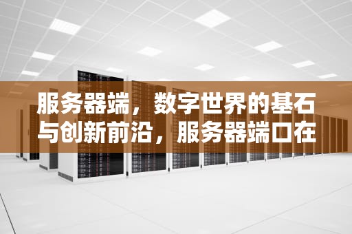 服务器端，数字世界的基石与创新前沿，服务器端口在哪里看