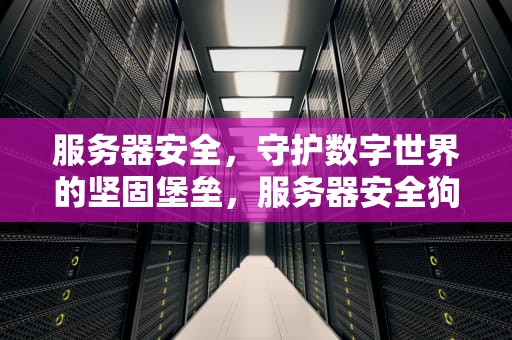 服务器安全，守护数字世界的坚固堡垒，服务器安全狗