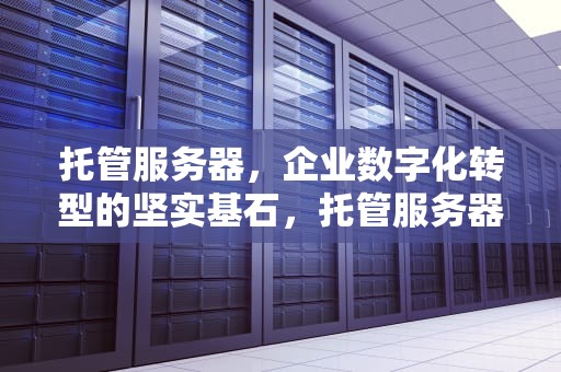 托管服务器，企业数字化转型的坚实基石，托管服务器是什么意思