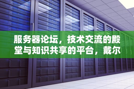 服务器论坛，技术交流的殿堂与知识共享的平台，戴尔服务器论坛