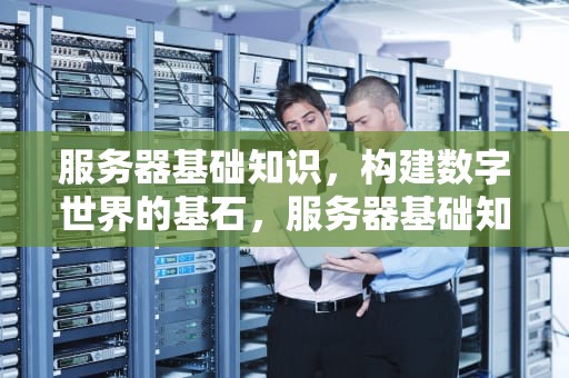 服务器基础知识，构建数字世界的基石，服务器基础知识全解