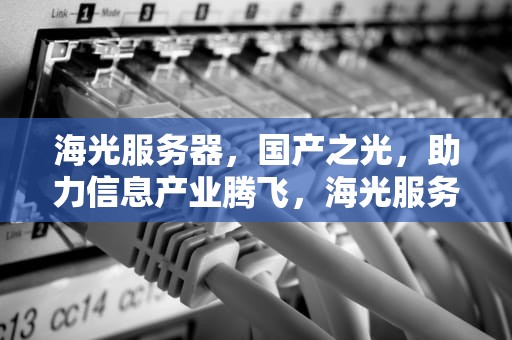 海光服务器，国产之光，助力信息产业腾飞，海光服务器官网