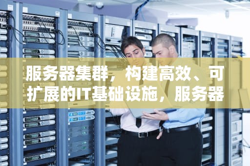 服务器集群，构建高效、可扩展的IT基础设施，服务器集群是什么意思