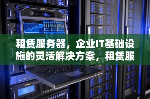 租赁服务器，企业IT基础设施的灵活解决方案，租赁服务器多少钱一个月