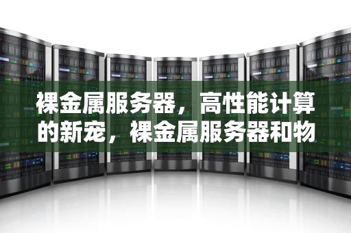 裸金属服务器，高性能计算的新宠，裸金属服务器和物理机的区别