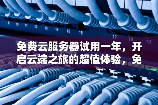 免费云服务器试用一年，开启云端之旅的超值体验，免费云服务器试用一年多少钱