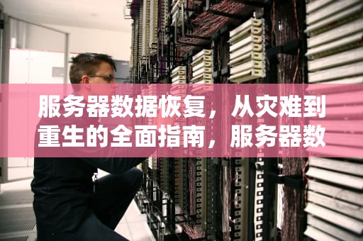 服务器数据恢复，从灾难到重生的全面指南，服务器数据恢复价格