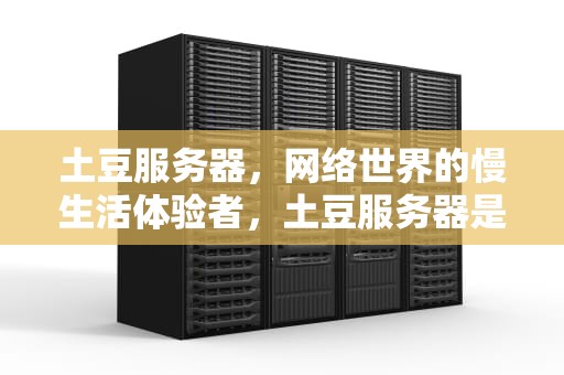 土豆服务器，网络世界的慢生活体验者，土豆服务器是什么意思