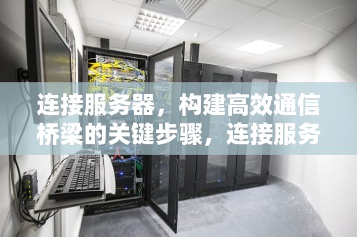 连接服务器，构建高效通信桥梁的关键步骤，连接服务器时出现问题苹果手机